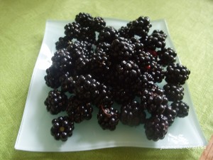 DSCF4051-1
