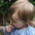 DSCF5996-001
