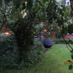 IMG_2219